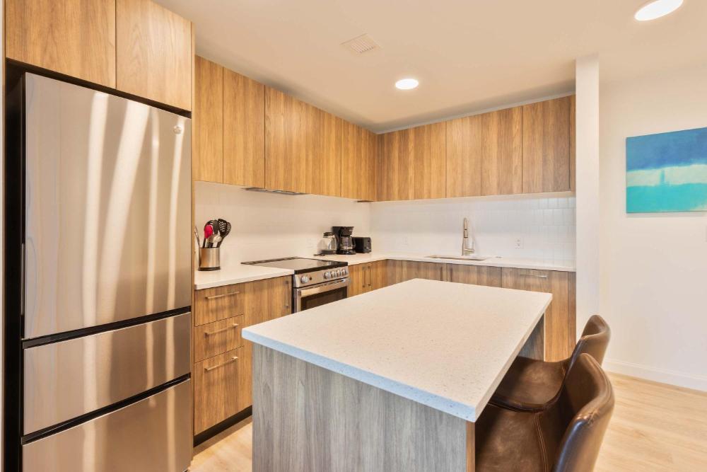 Luxury Apt with Sky Terrace